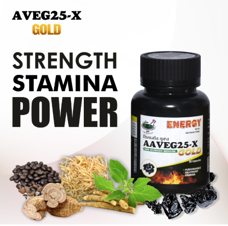 Shilajit 25-Gold